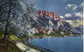 Gmunden - A xxxx 95 147 **